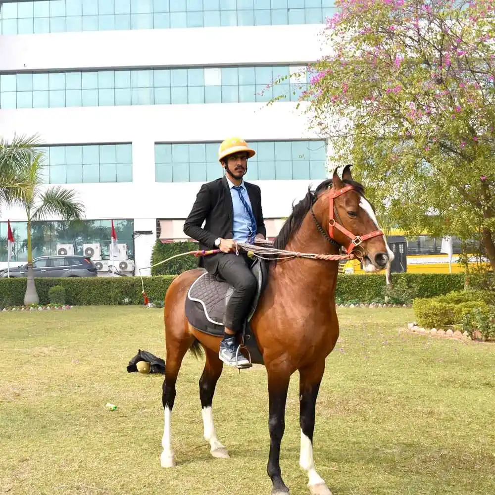 Horse Riding Club at AIMT – Best Engineering College in Lucknow UP
